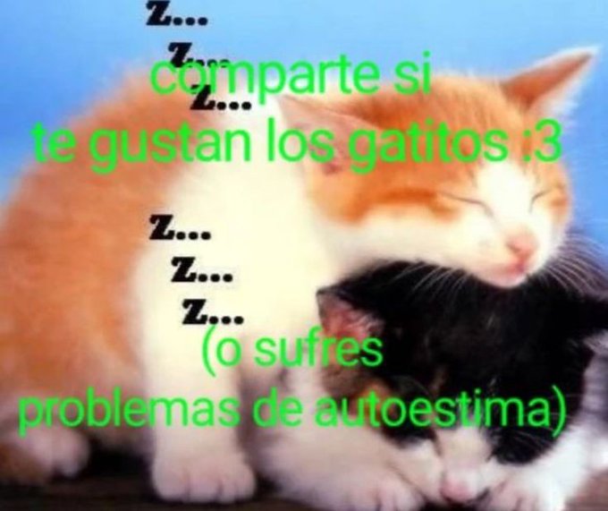 ⎕ ⏤𝐑𝐈𝐕𝐄𝐑𝐀 ᵎᶠᶜ (@nachlt0) on Twitter photo 