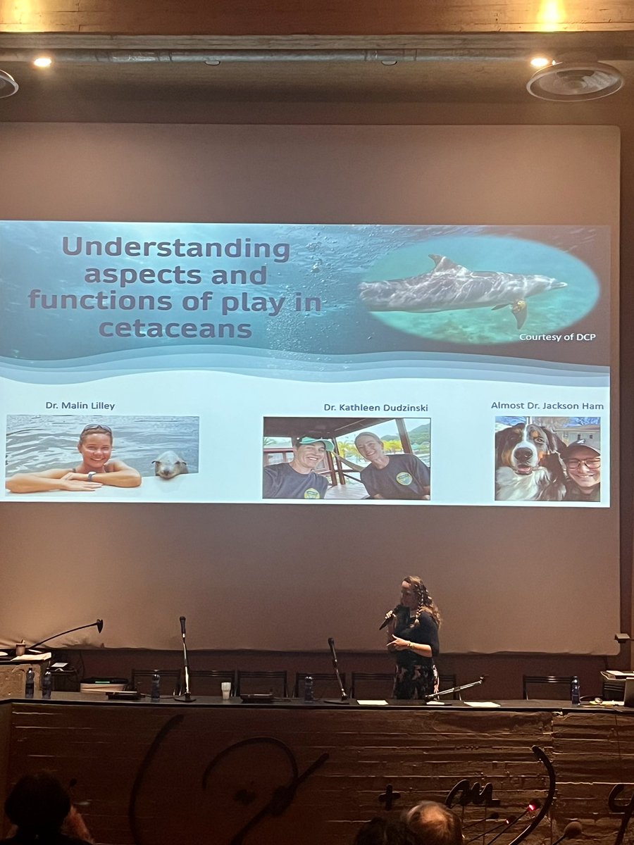 Erice2023 PLAYFUL SOCIETIES tweet media