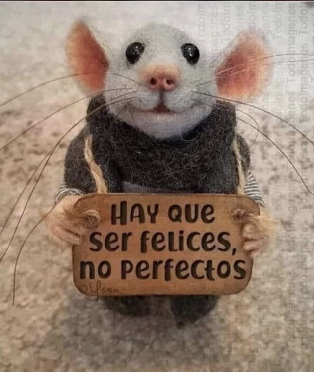 Buenos días Guapit@s ♥️
Abracitos regalones y llenos de energía bonita para está semana que recibamos buenas noticias, tengamos momentos felices y mucho amor, se cuidan 🥰🤗