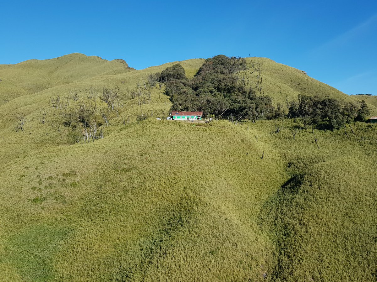 Dzüko Valley is a must do destination in Nagaland - adventure, bio-diversity, peace &amp; serenity, picture perfect postcards in every direction .. and so much more .. 

… and also a fantastic power-bank to recharge your batteries .. come and make lifelong memories .. 

pictures