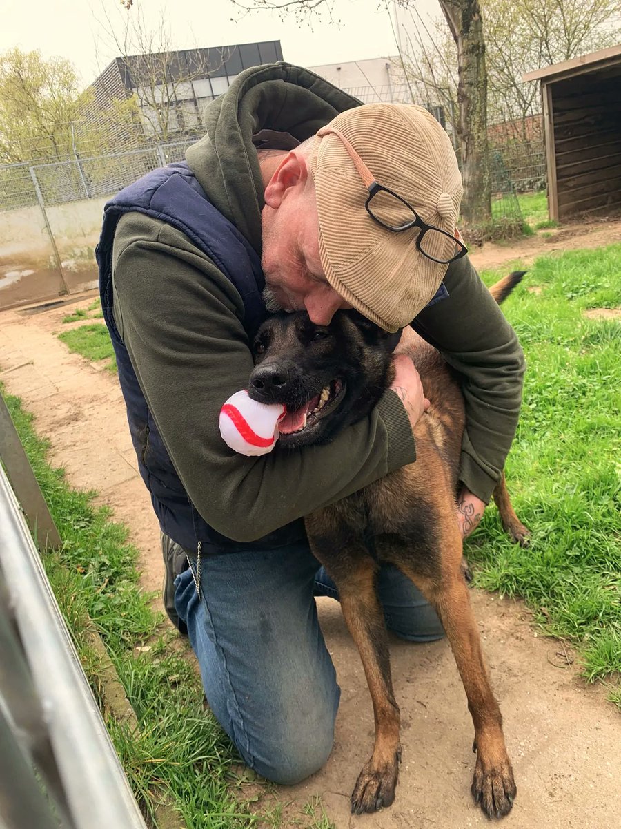 Kyra is ongelukkig…
Graag zoveel mogelijk delen! 
De komende weken zetten we alles op alles om een speld in een hooiberg te vinden. Die éne gouden match voor Kyra. Help je ons helpen?
Alle info vind je hier: buff.ly/39PkJVh
#mechelseherder #zoekthuis #goudenmand