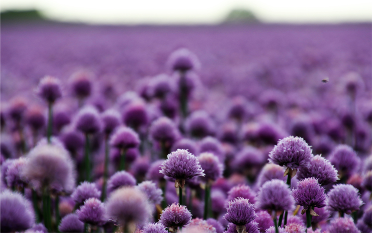 #LettureAppassionate di primavera @zudavide <a href="/sellerioeditore/">Sellerio editore</a> <a href="/joycemaynard/">joyce maynard</a> <a href="/nneditore/">NN Editore</a> <a href="/AStrugacki/">Arkadij Strugacki</a> <a href="/Marcoseditore/">Marcos y Marcos</a> <a href="/amelie_nothomb/">Amélie Nothomb</a> @VolandEdizioni <a href="/danijshapiro/">Dani Shapiro 🔥</a> <a href="/NeriPozza/">Neri Pozza</a> #inostriconsigliati #palazzoroberti #bassanodelgrappa   - mailchi.mp/palazzoroberti…