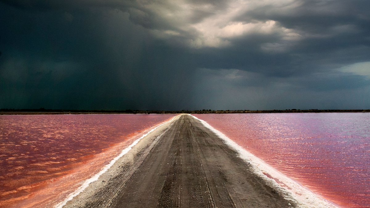 🦩 Festival de la Camargue et du Delta du Rhône : 5 temps forts à ne pas manquer cette année !
👉 france3-regions.francetvinfo.fr/provence-alpes…

#camargue #festivaldelacamargue #flamantrose #nature #environnement