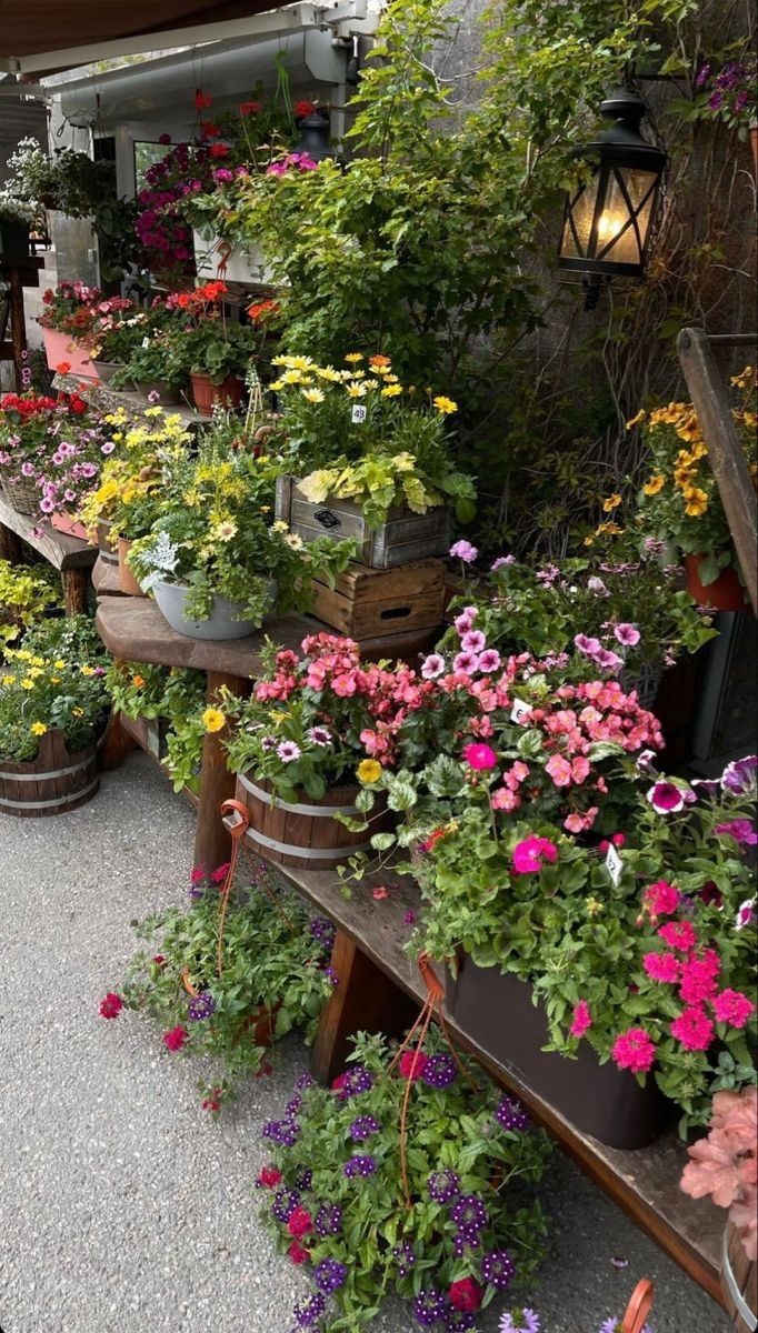 ͏ ͏ ͏ ͏ ͏ ͏͏ ͏ ͏ ♰ 𝓛𝙩𝙩𝔢𝖉𝘦͟𝘢͟𝘵͟𝘩͟ deslog (@iadultnagers) on Twitter photo 