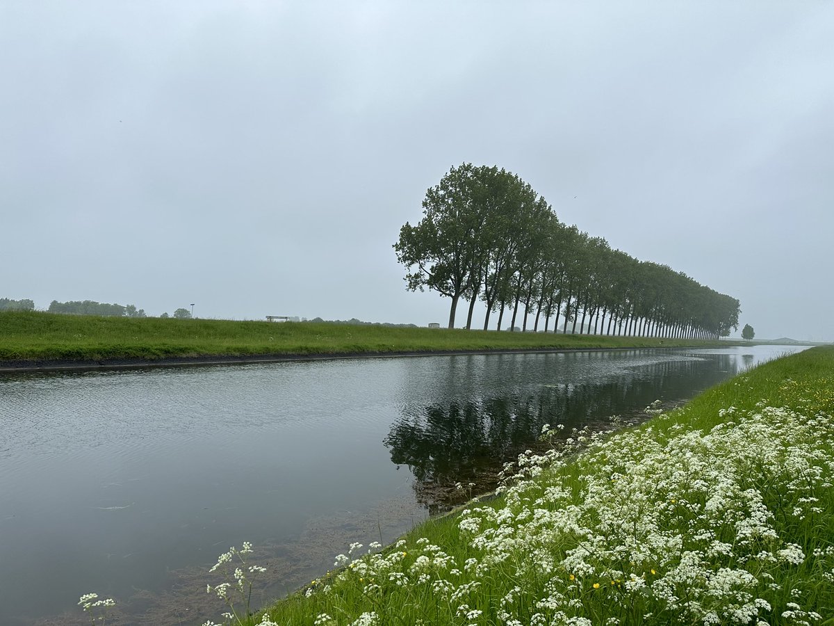 erica_v_leeuwen's tweet photo. Grijs, fris en rustig in #Wilhelminadorp ☁️🚣🏻‍♂️ 
@weermanrobert @Alpenweerman  @Talpaweer @omroepzeeland @EdAldus @BuienRadarNL @Goesisgoes @provzeeland @helgavanleur @weerenradar_nl @ricoschroder  @weeronline @GemeenteGoes @WNLVandaag  @SevereweatherNL @GRVscaldis https://t.co/TWCMrKJlKl