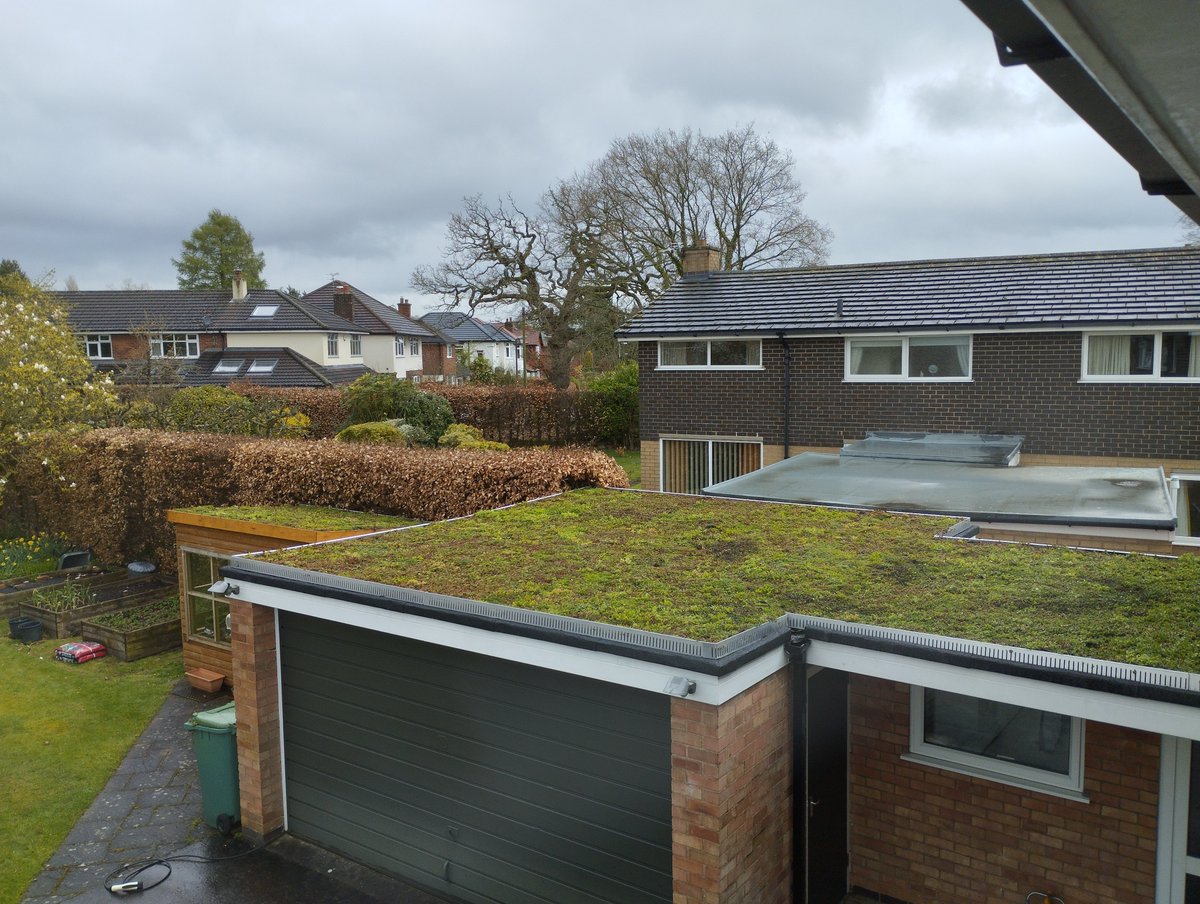 mancgreenroofs's tweet photo. #Northwich #greenroof https://t.co/uLENVKyBCG