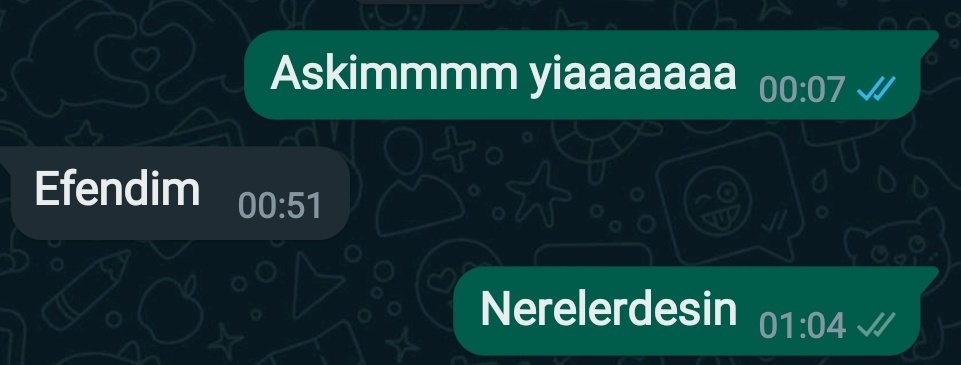 Kızlar ölmüştür dimi ölmüş olsun ama geç cevap vermesin pic