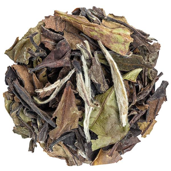 We get a lot of enquiries about White Tea, and we're delighted to let you know that we now have our gorgeous Bai Mu Dan loose leaf white tea back in stock. Also available in bulk on our website 🍵
lilystea.ie/product/buy-11…
#paimudan #baimudan #whitetea