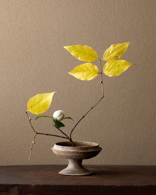 JO__8888's tweet photo. The Japanese art of ikebana is a subtle means to convey deep innermost and spiritual feelings. https://t.co/ohjdIpFQFI