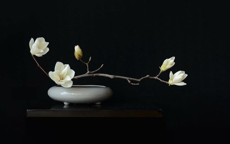 JO__8888's tweet photo. The Japanese art of ikebana is a subtle means to convey deep innermost and spiritual feelings. https://t.co/C4aIW8sXUV