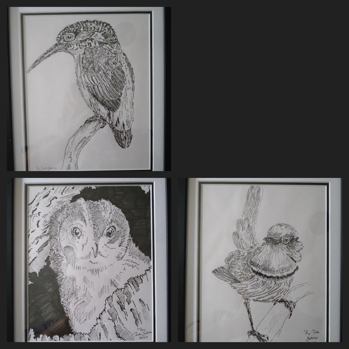 Today's #INK #sketch are for the #Staffordshire #moorland #openart fingers crossed they will be accepted 😃🎨🤞 first attempt at framing and mounting.....  #art #BirdsOfTwitter #Owl #Kingfisher #wren #INK #Artists #ArtistOnTwitter 🐦‍⬛🐓🐣🦅🦉🦜🕊️🐧🦃🦚🦩🪿🦆🦢🦤🤗❤️