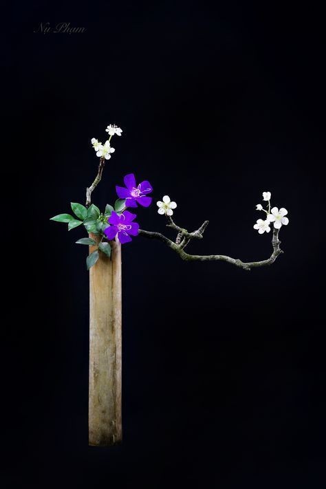 JO__8888's tweet photo. The Japanese art of ikebana is a subtle means to convey deep innermost and spiritual feelings. https://t.co/FssnPWLDPU