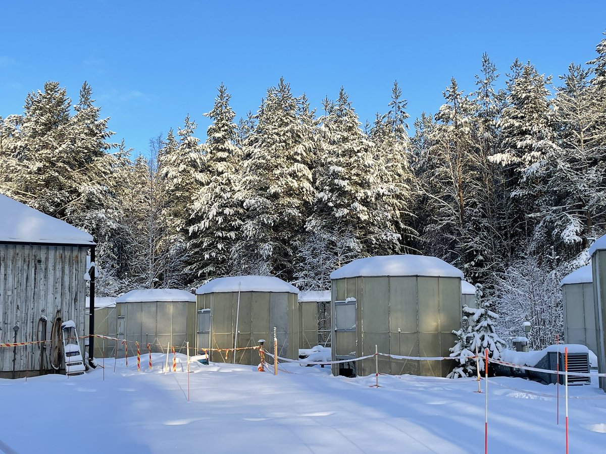 ZSN_Chen's tweet photo. The first winter of in-situ continuous water isotope measurements on ❄️#snowpack is accomplished in #Oulu🥳With help and support from my colleagues, @nat_iso’s group, and @ca19120🦾, I think our setup survived quite well at 65 °N🥶Now, time to process the data👩‍💻

#SNOMLT #CRYO_RI https://t.co/UjXGD4eMeA