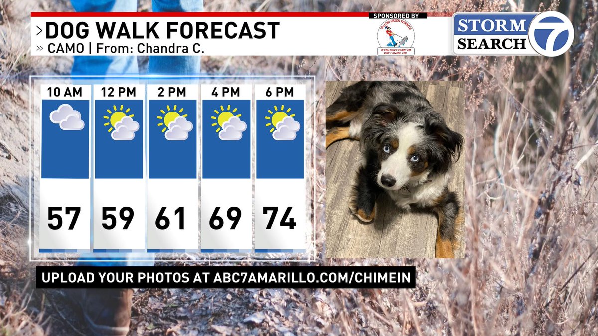 CorbinVogesWX's tweet photo. Isolated to scattered showers will start to decay later this morning after sunrise. Mostly cloudy skies and highs in the low to mid 70s though is nothing to gripe about either for this afternoon.  #txwx #okwx #nmwx #Rain @ABC7Amarillo @StormSearch7 https://t.co/haoXMs5hHe
