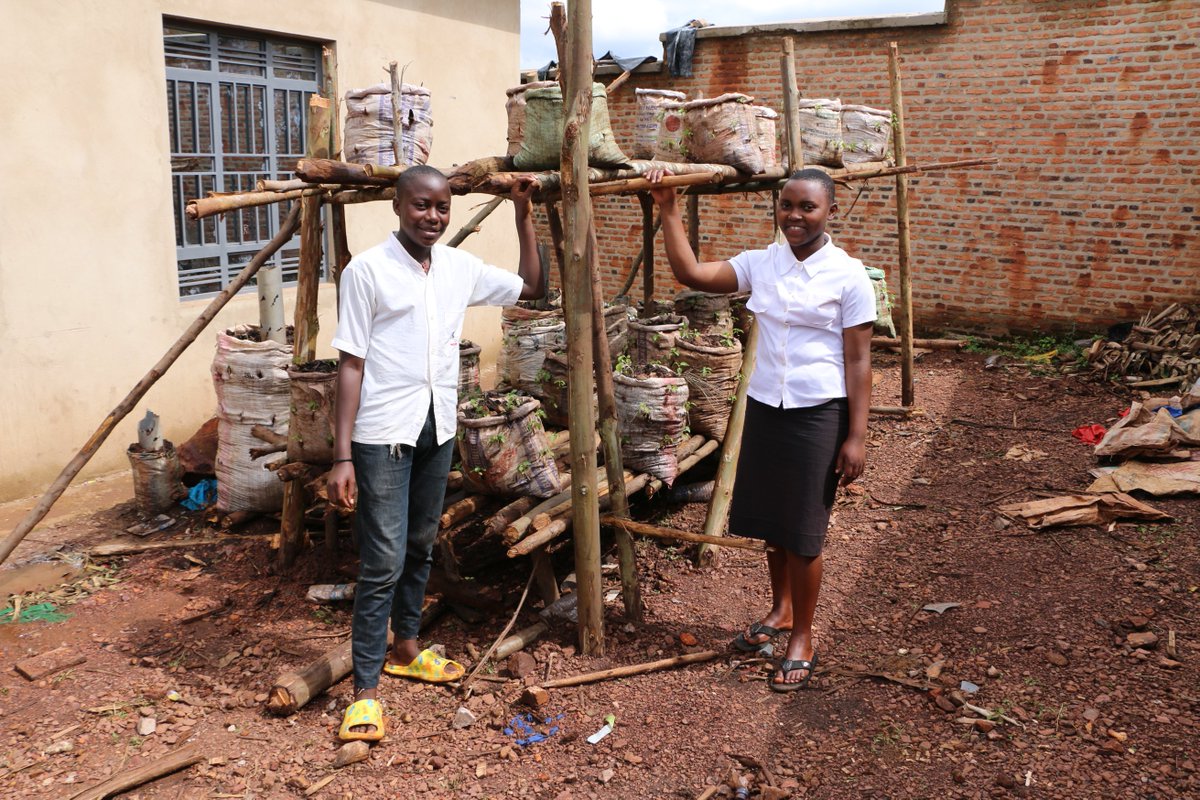 UNICEF_Burundi's tweet photo. "Nous avons appris à cultiver beaucoup de légumes dans de petits espaces comme dans des sacs", Don Précieux, 14 ans, #ECOFO Kabari, @NgoziProvince.
👉Grâce au projet #Creatable financé par @unicefaustralia, les élèves apprennent, notamment, des pratiques agricoles innovantes. https://t.co/fsOInSr8HP