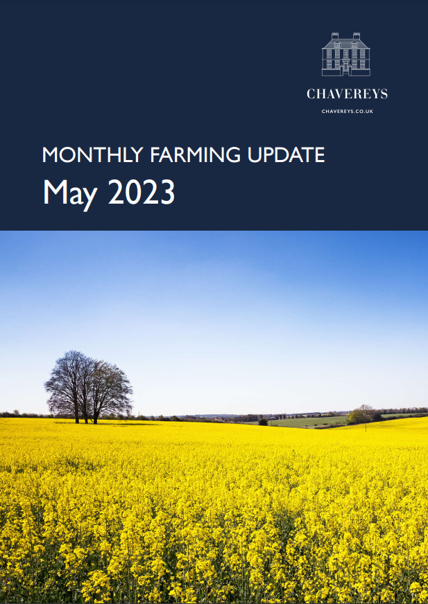 Chavereys tweet media