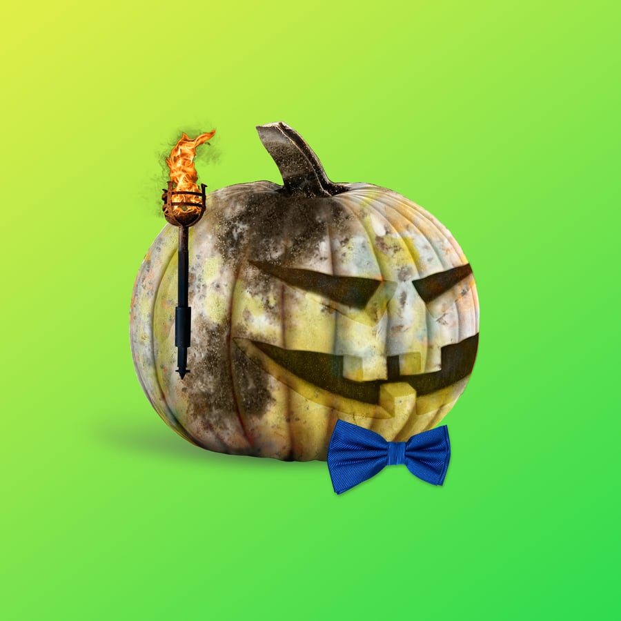 RaffllrrXYZBot's tweet photo. ⌛ ENDING IN 30 MINUTES!

pumpskin NFT #4926
Ticket Price: 0.05 Avax
Tickets Left: 49/50
End: Monday, May 15, 2023 10:55 AM UTC

Buy a ticket here! https://t.co/vHOhtRkeOB

#Avax #AvaxNFTs https://t.co/jUlT39xu5F