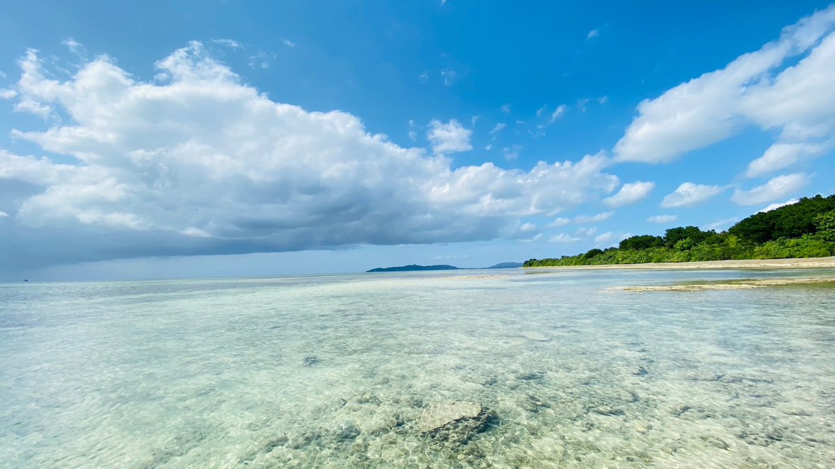 SERI7_45's tweet photo. 3泊４日のノープラン石垣島🛩🏖
綺麗な海みてボーっとして死んだんかな〜思いましたね。
泡盛飲みすぎて気付いたら布団で寝てたのも死んだんか思いました。
今年中にまた行きたいな〜🍻 https://t.co/kIWL1QPWDw