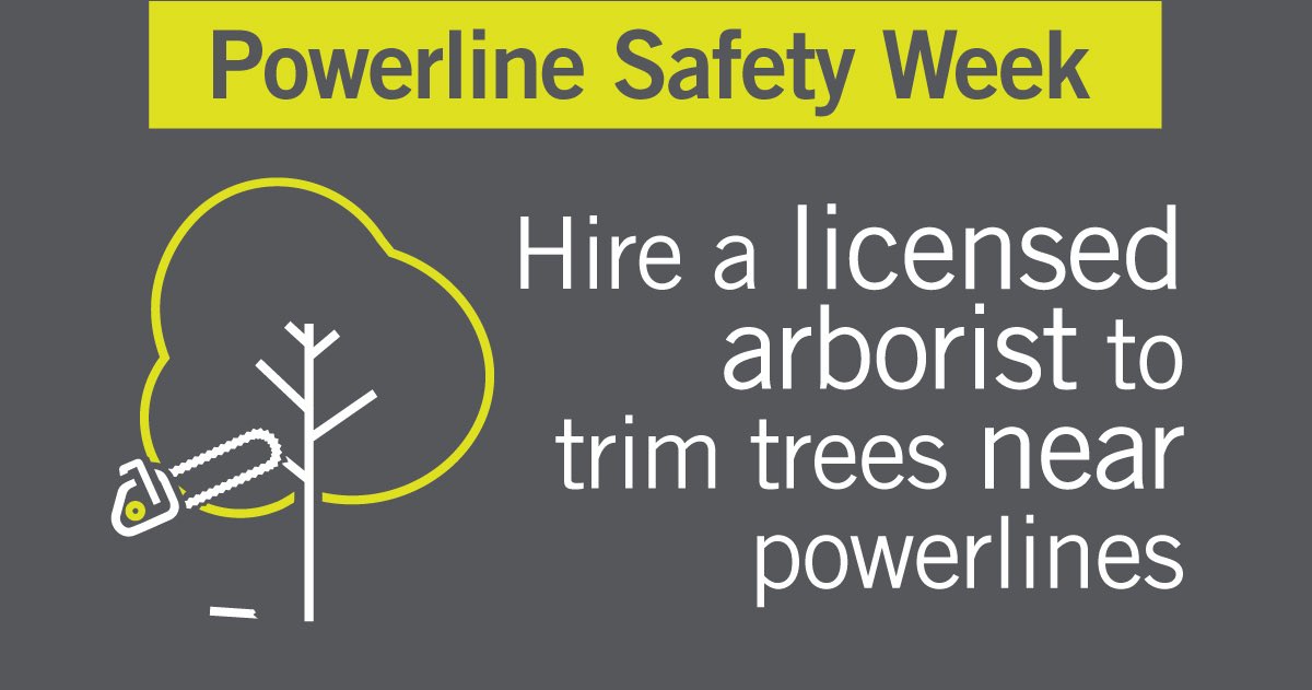 alectranews's tweet image. Today marks the beginning of #PowerlineSafetyWeek and we’re sharing some tips on how to work safely around overhead and underground powerlines. #StaySafe 
Read more here: alectrautilities.com/powerline-safe…