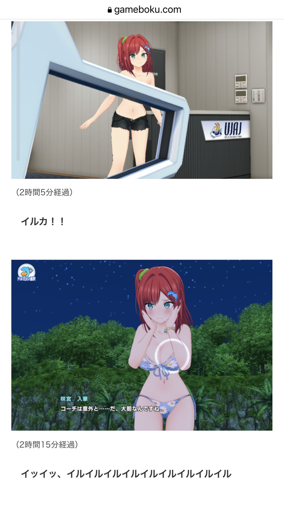 閃乱カグラ 雪泉×ドルフィンウェーブ 咲宮入華 ハニパレ5周年記念特大
