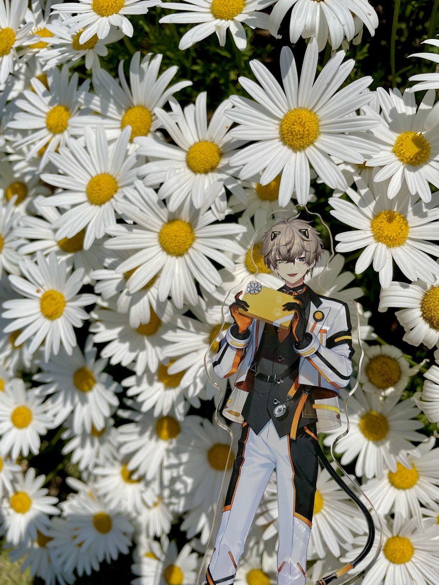 BorafriedAB's tweet photo. I went to the botanical garden a few days ago🌼🌸🌳

I took some pictures of the flowers with Alban and Sonny🧡💛
They were so beautiful✨

 #AlbanKnox  #SonnyBrisko https://t.co/ubDNjzaXJ9