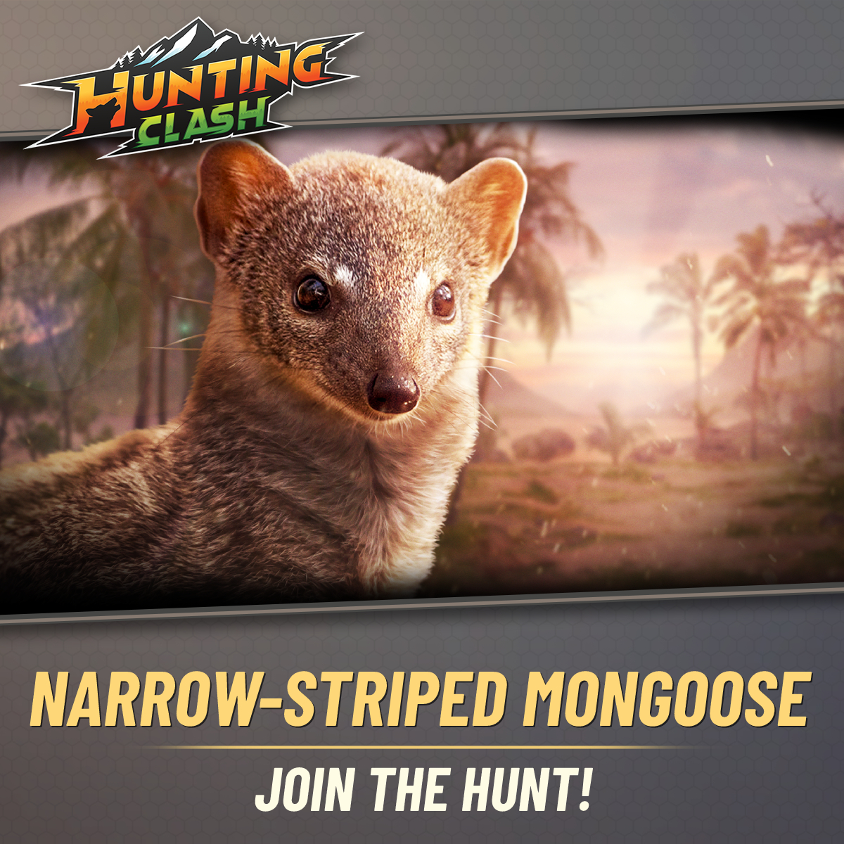 HuntingClash's tweet image. It&apos;s the narrow-striped mongoose!
Join today&apos;s event and participate in the hunt for this common animal in Madagascar!
Good luck!