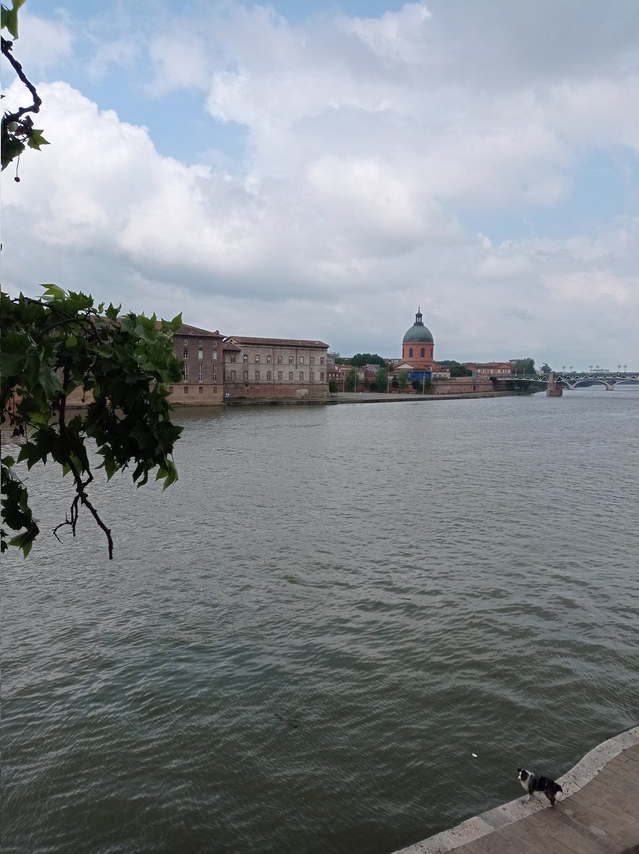 AxelDscp's tweet photo. Arrived in Toulouse for the #GGMM_2023 https://t.co/jeXDY4fhL2