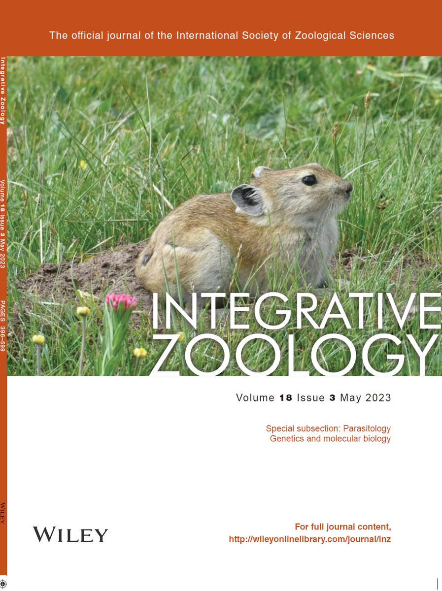IntegrativeZ's tweet photo. Integrative Zoology Issue Alert: Vol. 18 Issue 3
Special subsections (many open access!)
Parasitology, Genetics and Molecular Biology
https://t.co/zvY7IqfO99
@WileyEcolEvol @IntegrativeZool https://t.co/ncG5NaRCsE