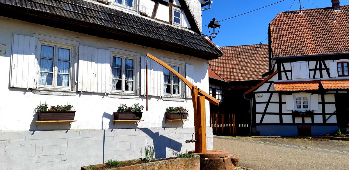 MonikaFrance's tweet photo. Visite du joli #village d #Hunspach sacré village préféré des français en 2020
👍🤩
En #Alsace verte.
#photos perso du 15 mai 2023.
#France #balade @bernstephane @toutelalsace #photography #photo #photographie #Travel https://t.co/mgwqP31Rs6