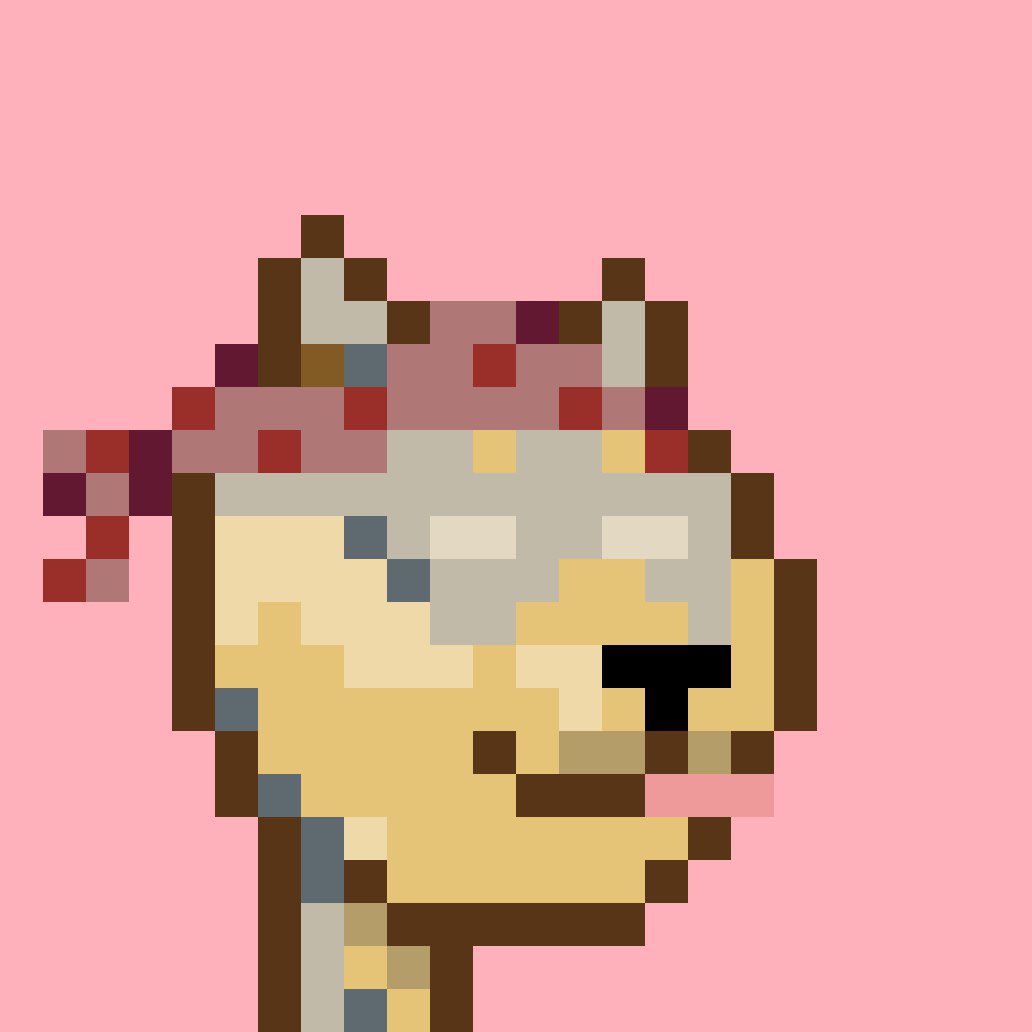 The sun beats everyday in Queso.. Unfortunately for this Shib he cannot see the morning sun but he can smell it and the aromas of his Weed farm.. #Arbitrum