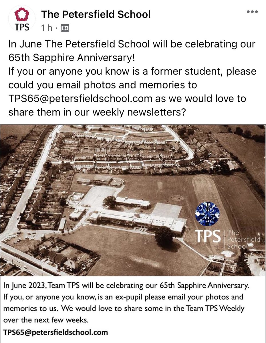 Rachael Taylor tweet media