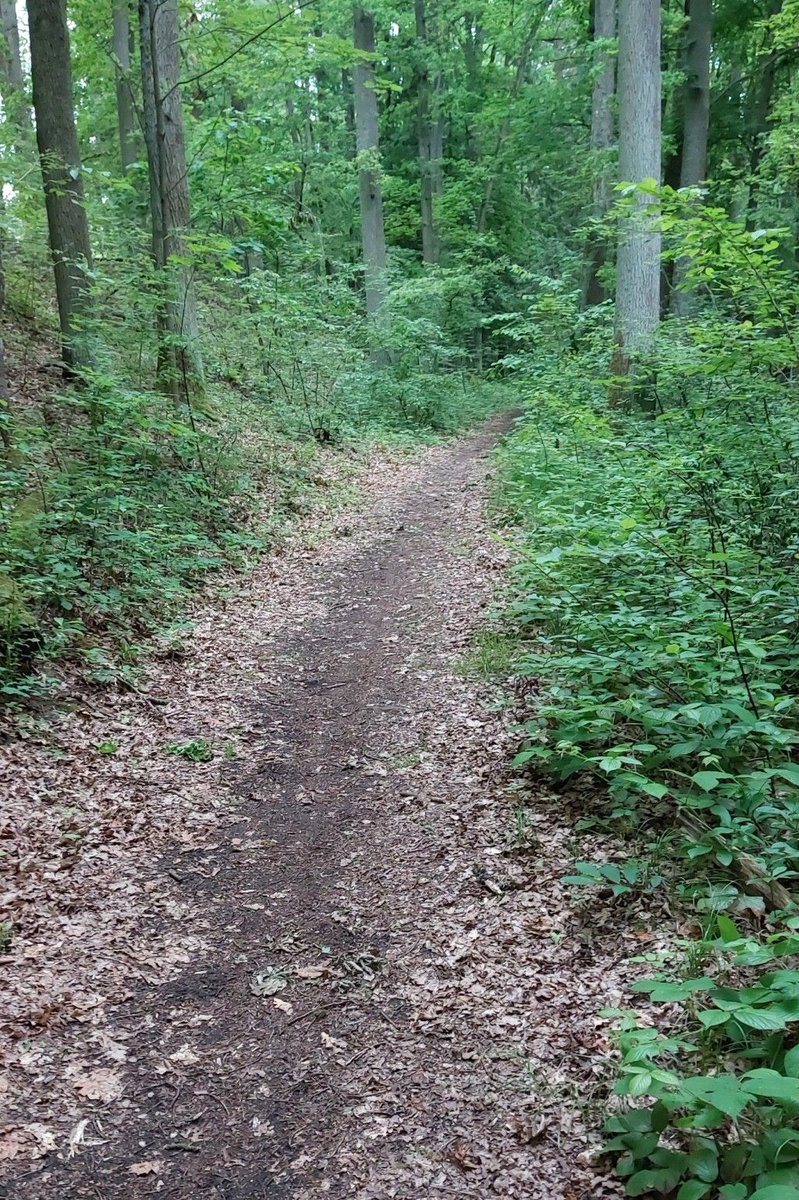 AxlNueAI's tweet photo. 🏃‍♂️🏃‍♀️🏃Getting ready for the B2Run! As we are super close to amazing wood trails, it's pure fun to practice 6km running from the office. Our group runs once a week Thursday 11am, feel free to join in . Certainly a great way to clear your head during the day and stay healthy. https://t.co/HIAMauSxWu