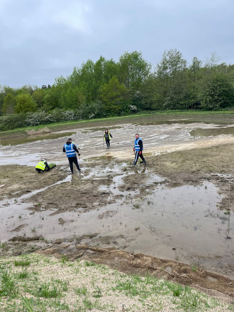fletcherswaste's tweet photo. This weekend, we had the incredible opportunity to join forces with @DonCatchmentRT, rolling up our sleeves and planting 1000 #plugplants in the new flood storage and wildlife ponds at #GrassmoorCountryPark.
#Conservation #GreenInitiatives #chesterfield #wastemanagement https://t.co/JxY1IMCR7c