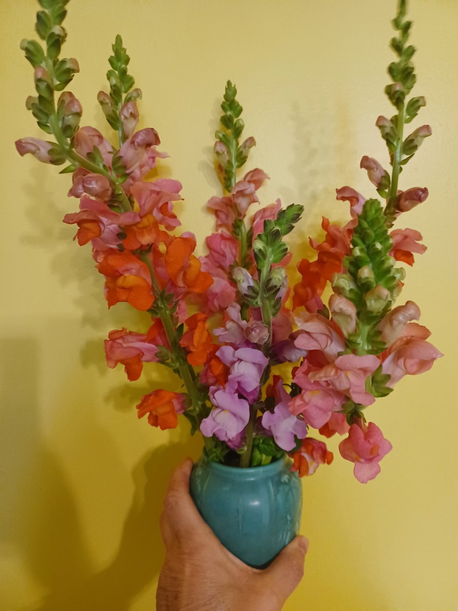 LAMYB's tweet image. April showers brought May flowers and... a birthday, fresh tunes, and old ballads. Today on Different Every Time 101.5 fm and live streaming at wxnafm.org. @WXNAfm #utahphillips