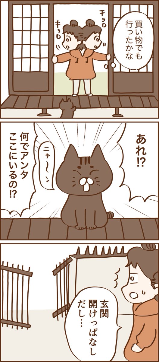 ■野良猫に餌をやるおばあさんの話8 続きは明日20時にアップします🙆‍♀️ #漫画が読めるハッシュタグ