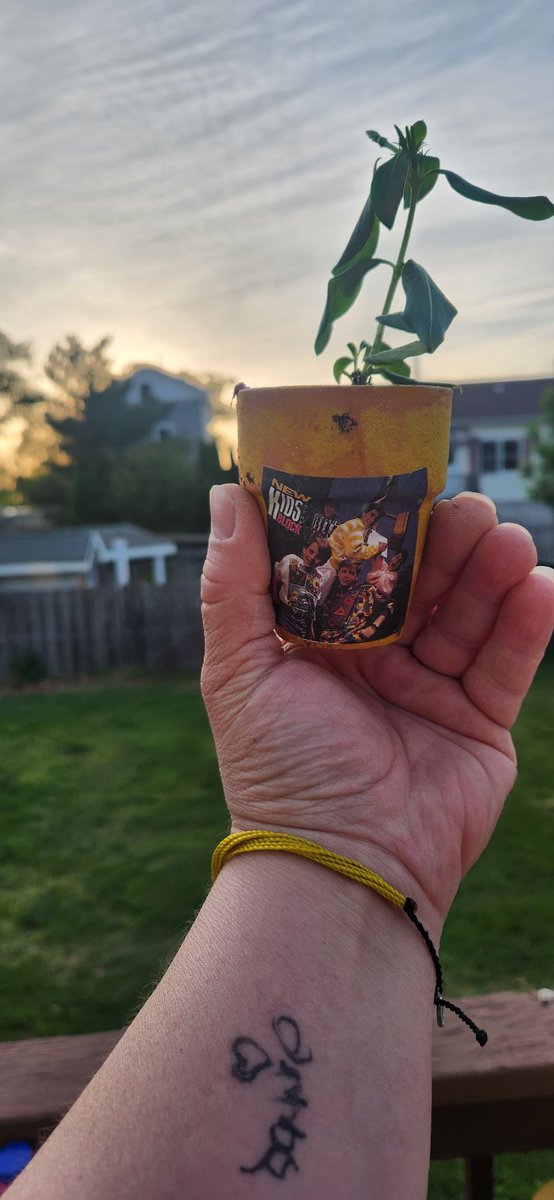 Mary Jane tweet media