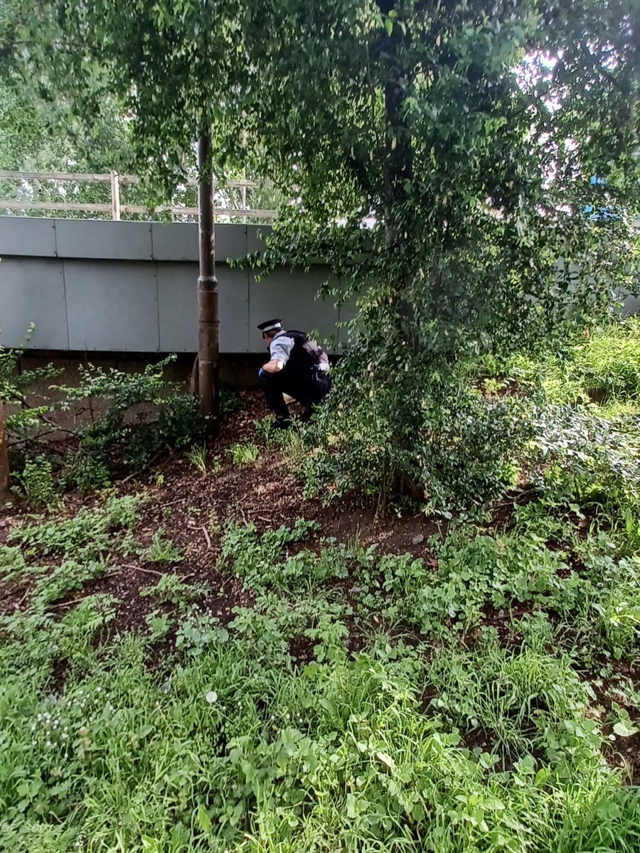 Thamesmead Moorings SNT conducted a weapons sweep today in the area of Bentham Road SE28, as part of #OPSceptre. I'm Pleased to say no weapons were found.