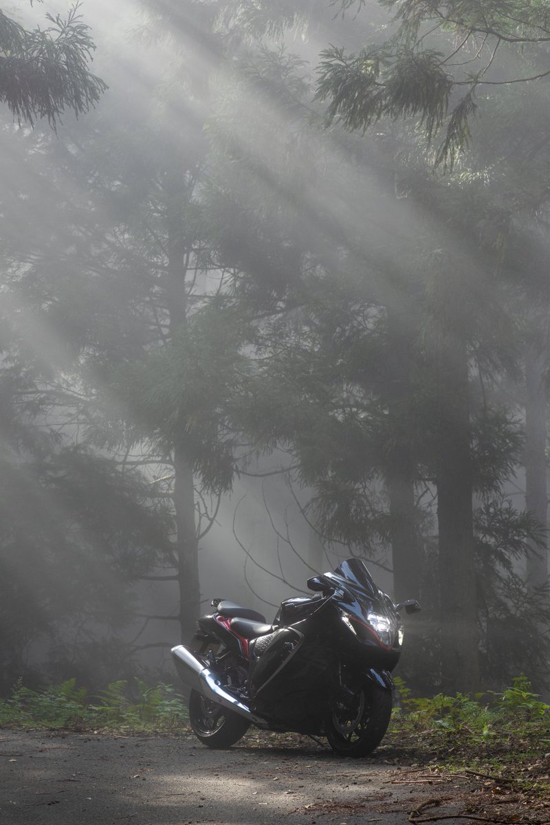 とっさん (@quadrifoglio14r) / Posts / X