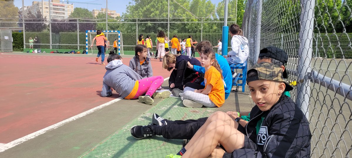 CEIP María Moliner Zaragoza tweet media