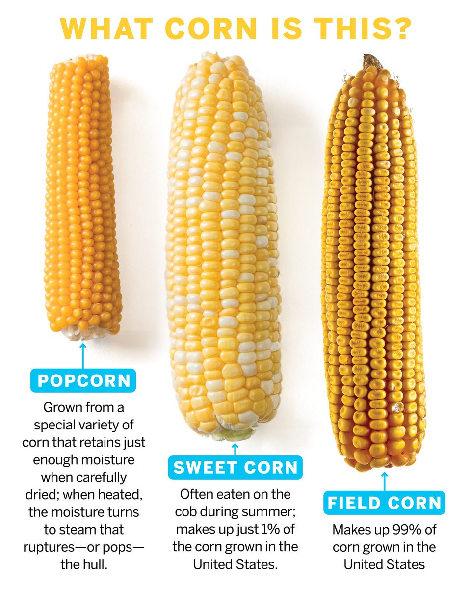 I still have to explain this to many of my friends when it comes to #corn trading.