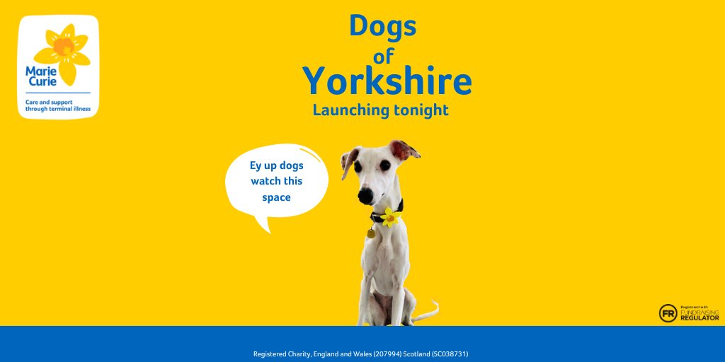 Just leaving this here #dogs <a href="/mariecurieuk/">Marie Curie</a>