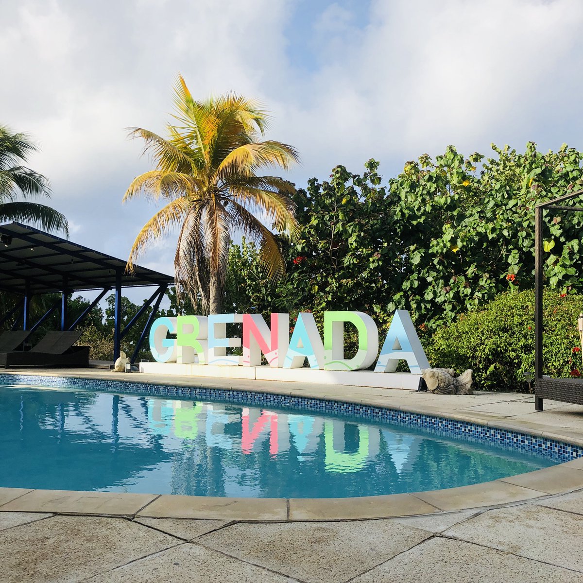 Kish Wilkinson tweet media