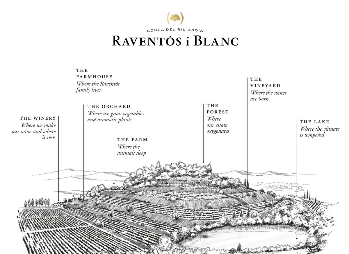 [ESTATE 🏡]

Map of the Raventós family estate.

Twenty-one generations have worked this land, 90 hectares of #vines, forest and lake, with a specific #microclimate influenced by the river, a lake, two streams and a hill known as the Turó del Serral.
👇
raventos.com/plots/plots