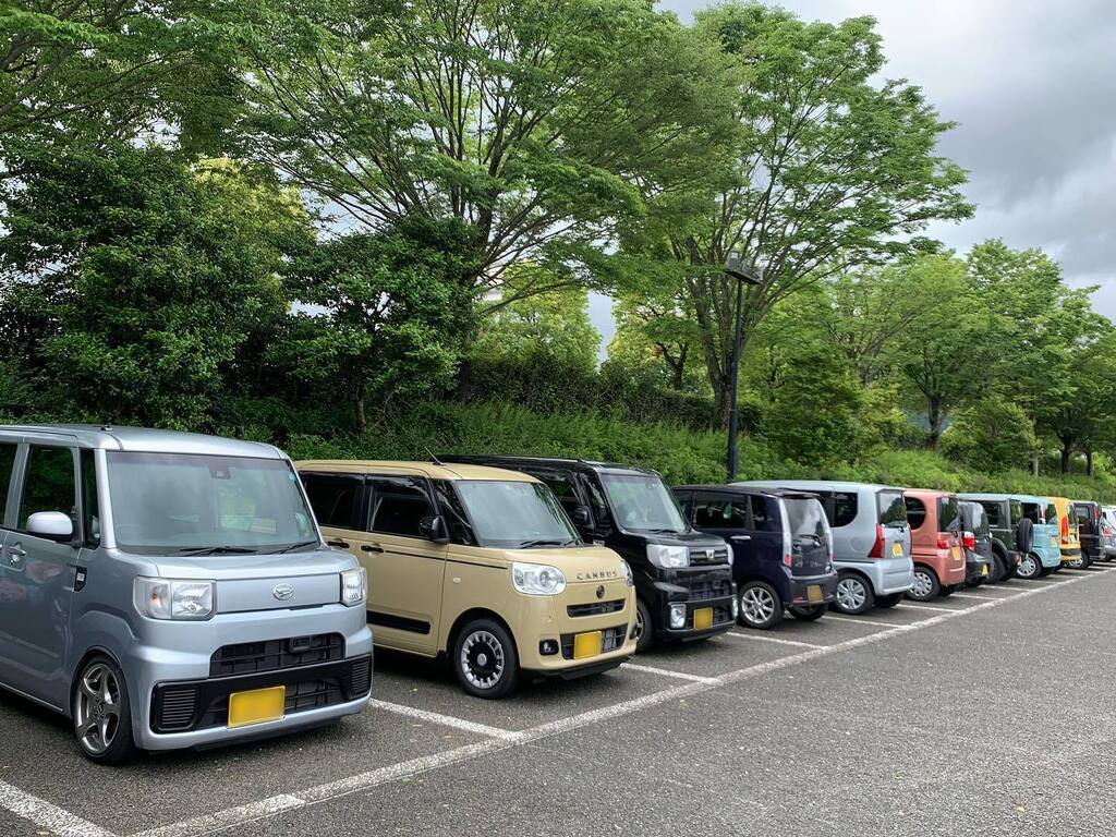ネコダンナ (@tpf_japan) / Posts / X