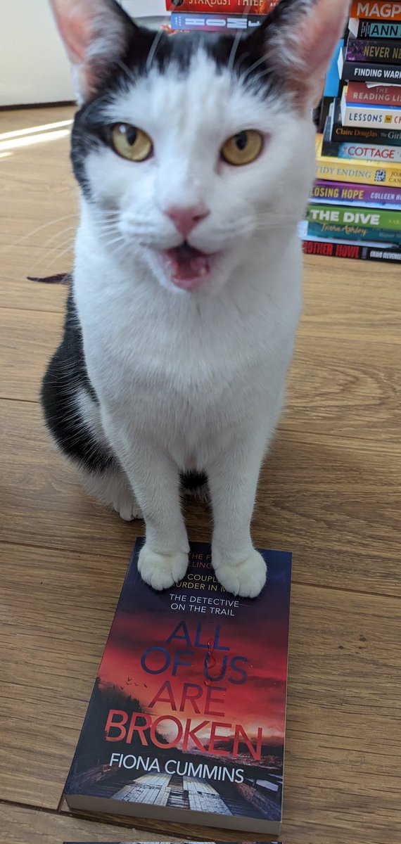Hoping to start this #book today #AllOfUsAreBroken by #author #FionaCummins (we love her books), out to buy 20th of July this year xxx #CatsOfTwitter #booktwt #pawsandpages #bookish thanks again Laura ❤️ Will pop a blurb reading aloud on our tiktok too 📚🥰