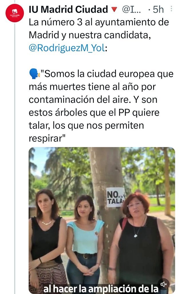 EnsaladaPalabra's tweet photo. #ComaAsesina https://t.co/BuwWoiQcVt