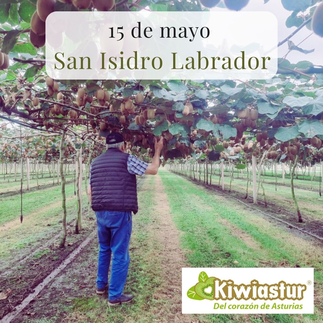 🌾 Hoy, 15 de mayo, celebramos la festividad de #SanIsidroLabrador, patrono del agricultor 🌾.

Deseamos traiga la tan necesaria lluvia 🌧️ para los campos y protección 😇 para las cosechas.

Feliz día de San Isidro a tod@s ☺️.

#Frutasyverdurasfrescas #5aldía #almenos5aldía