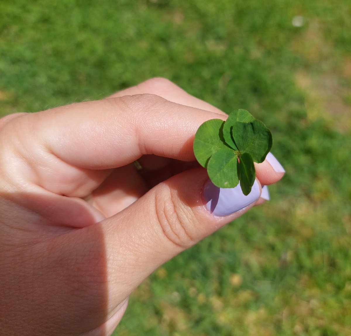 Истото се прашував 🤷🏻‍♀️
Јас најдов со 5 листа.