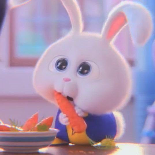 ไม่เหมือนกันตรงไหน ตาแป๋ว+ฟันกระต่าย เหมือนกันหมด