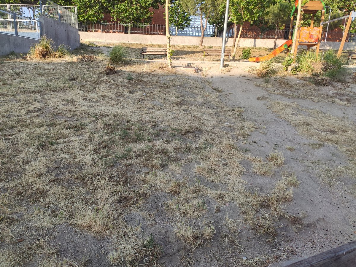 luissosagaye's tweet photo. A pesar de las prisas de última hora esta es la otra realidad de #VillanuevaDelPardillo 
A pesar de aumentar el gasto, los parques y jardines están desatendidos.
Desde @Cs_Pardillo haremos una recuperación REAL de todas las zonas verdes del municipio. #honradez #coherencia https://t.co/4dsxYh2zJU